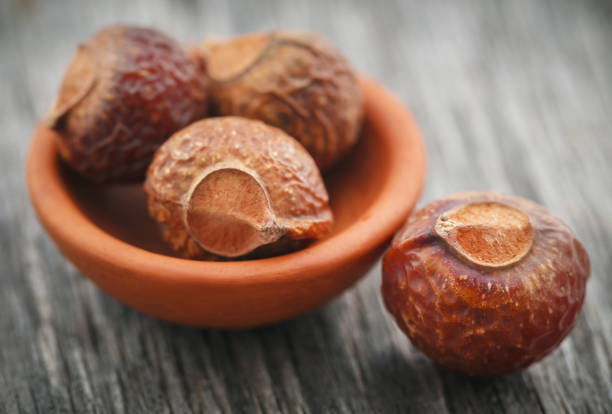 istock Sapindus mukorossi or Indian soapberry 1164480811