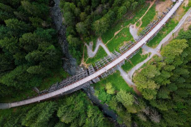 istock Kinsol Trestle from above, Vancouver Island 1164484479