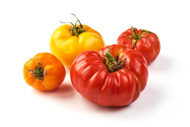 istock Colorful tomatoes of different sizes and kinds isolated on white background 1164485375