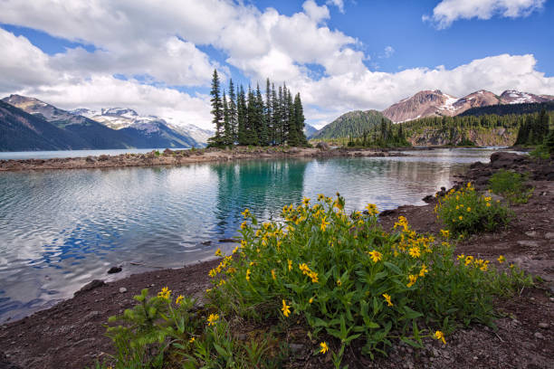 istock Garibaldi Lake in summer, BC, Canada 1164485543