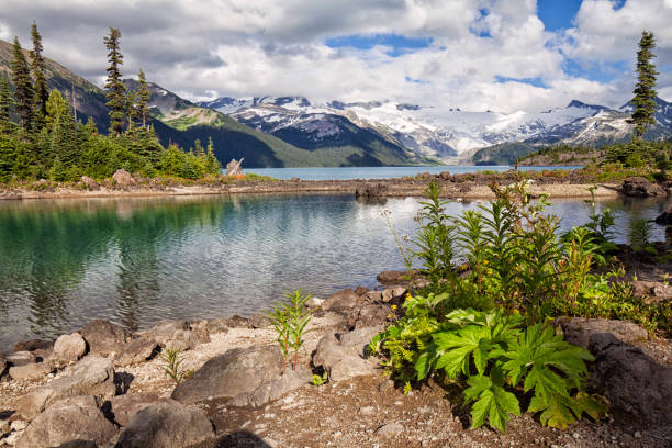 istock Garibaldi Lake in summer, BC, Canada 1164485641