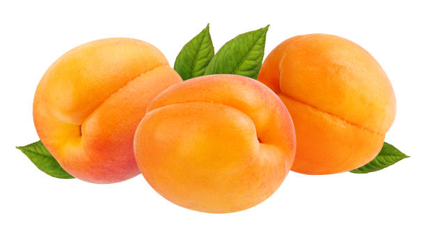 istock Apricots with leaves isolated on white background with clipping path 1164495410