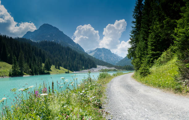 summer mountain landscape with turquoise lake and gravel road bordered by wildflowers summer mountain landscape with turquoise lake and gravel road bordered by wildflowers in the Swiss Alps near Arosa arosa photos stock pictures, royalty-free photos & images
