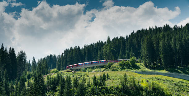 red Rhaetian railway train in a green summer mountain landscape in the Swiss Alps Arosa, GR / Switzerland - 24. July, 2019:  red Rhaetian railway train in a green summer mountain landscape in the Swiss Alps arosa photos stock pictures, royalty-free photos & images