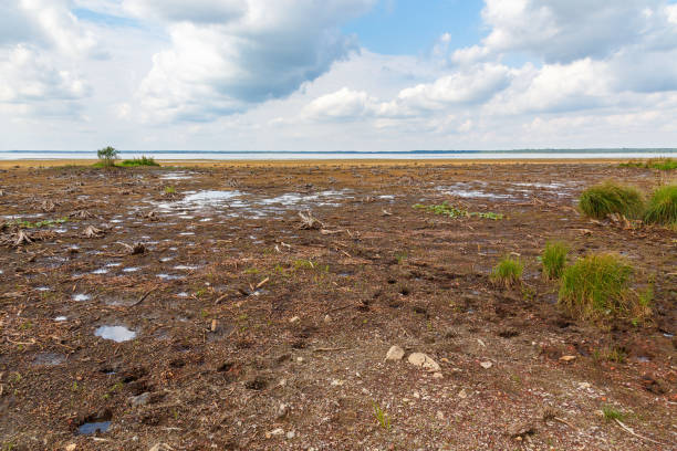 lago desidratado no verão - global warming drought riverbank dirt - fotografias e filmes do acervo
