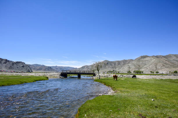 Labdsacpe of mountains and grasslands in Olgi, Mongolia.