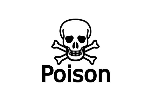 Skull with bones, symbol of toxicity and poison. Poison stock photo