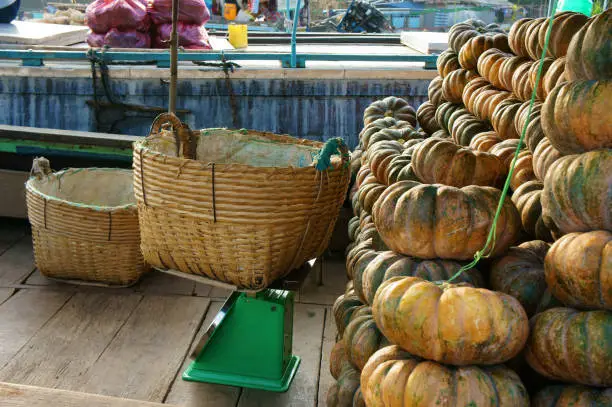 wooden boat transport many yellow pumpkins stacking on Cai Rang floating market, Mekong Delta, Vietnam on day