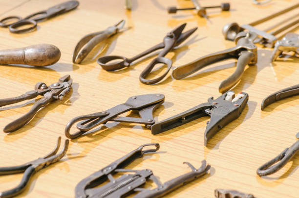 istock Collection of vintage engineering hand tools including pliers, shears and hole punches 1164514731