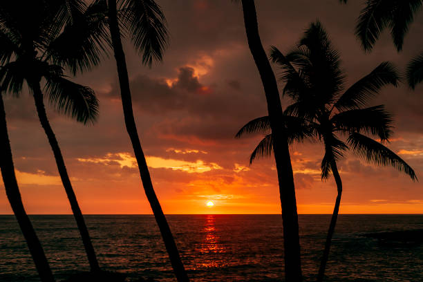 istock Big Island of Hawaii sunset 1164514834