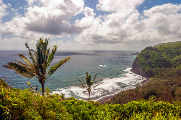 istock Big Island of Hawaii coast 1164514907
