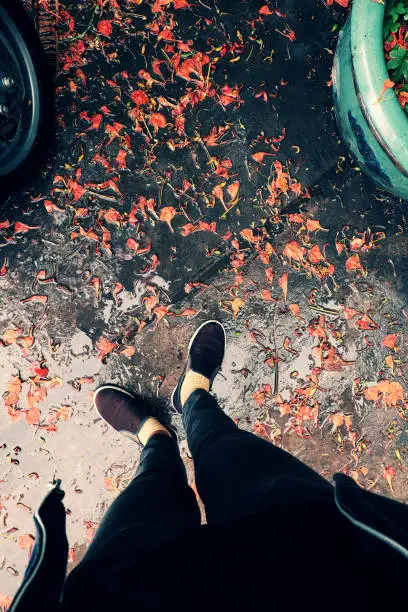 Top view of woman feet in black clothes stand outdoor yard with orange petals fall in raining day