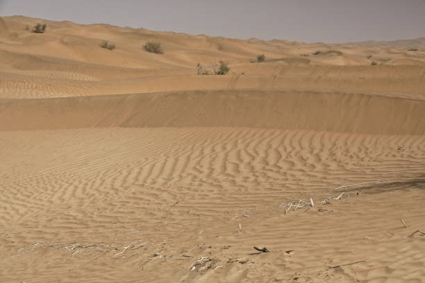 przesuwające się wydmy-pustynia takla makan. yutian keriya county-xinjiang uyghur region-chiny-0247 - sandscape zdjęcia i obrazy z banku zdjęć