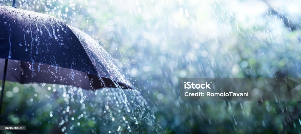 Rain On Umbrella - Weather Concept Rain Stock Photo