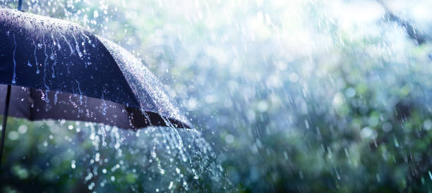 Rain On Umbrella - Weather Concept Rain On Umbrella - Weather Concept rain overcast storm weather stock pictures, royalty-free photos & images