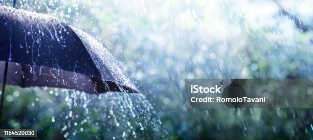 Rain On Umbrella Weather Concept Stock Photo - Download Image Now - Rain, Umbrella, Torrential Rain