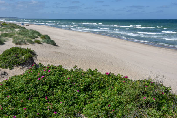 istock The coast at Regeleje in Denmark 1164520880