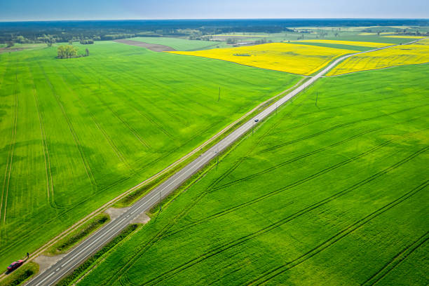 istock Moving cars on a road between green fields, aerial view 1164522212
