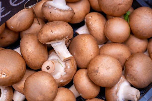 Fresh healthy raw mushroom vegetables on the basket on a fruit market