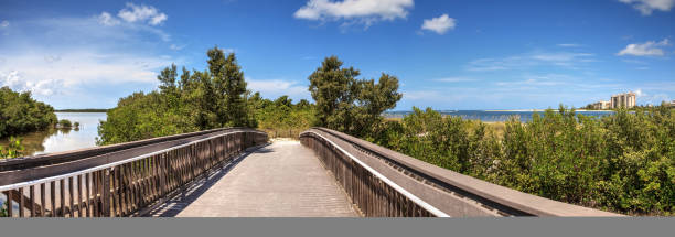 istock Long Boardwalk leading to the ocean at Lovers Key State Park Beach 1164523635