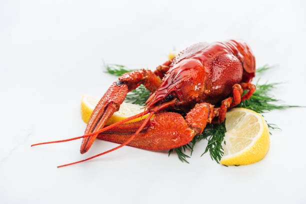 istock red lobster with lemon slices and green herbs on white background 1164524246