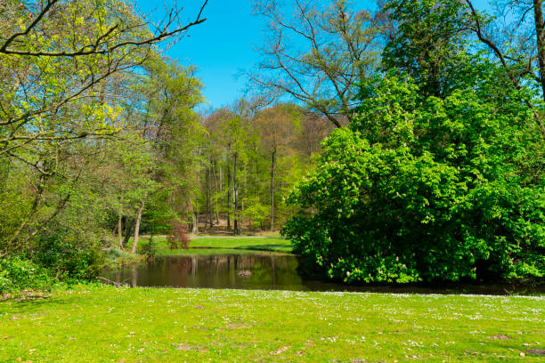 Green scene in Sonsbeek Park, Arnhem, Holland