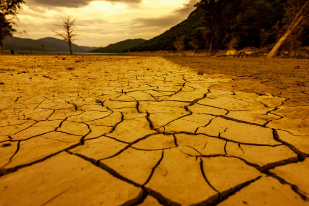 istock Cracks in dry earth in a lake 1164529848