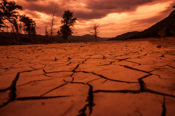 Cracks in dry earth in a lake without water