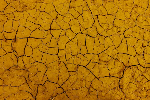 Cracks in dry earth in a lake without water