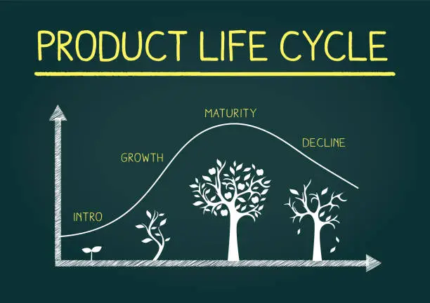Vector illustration of Hand Drawing product life cycle image on blackboard,business,flamework