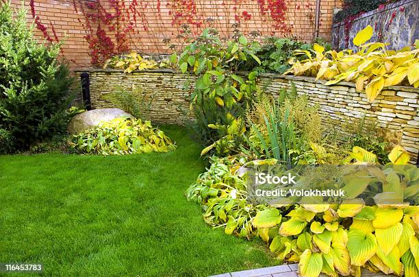 Giardino - Fotografie stock e altre immagini di Albero - Albero, Ambientazione esterna, Astratto