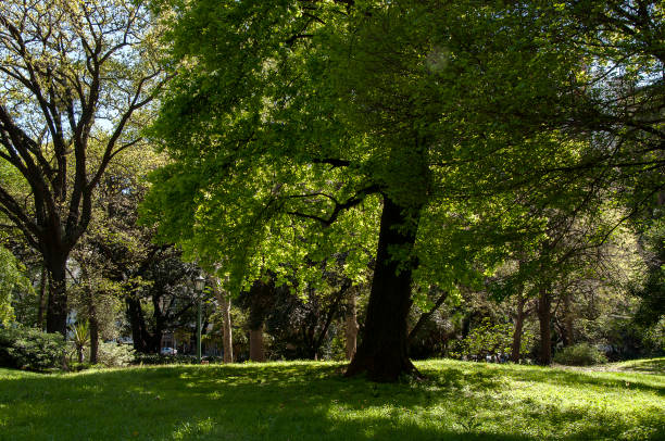 Gardens in Buenos Aires Argentina