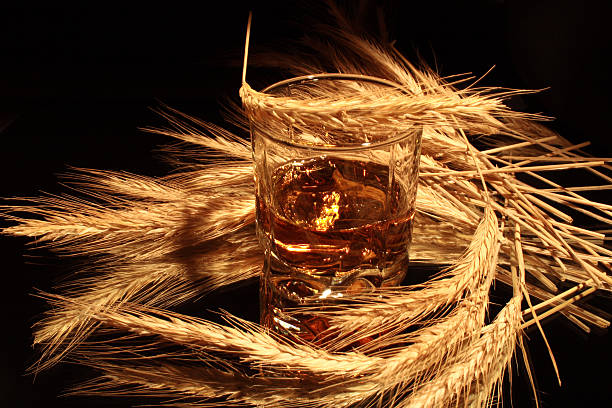 Whisky on dark Glass of whiskey and wheat ears on dark background rye stock pictures, royalty-free photos & images
