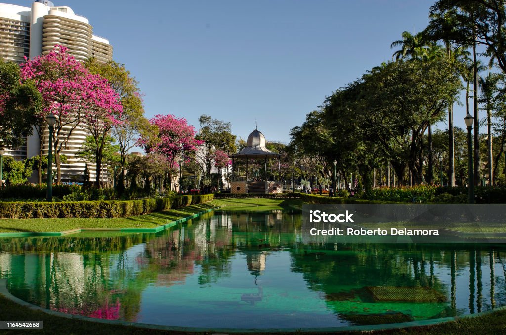 The famous garden in Liberty Square Belo Horizonte Belo Horizonte Stock Photo