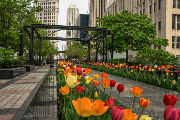 Gardens and flowers in Chicago