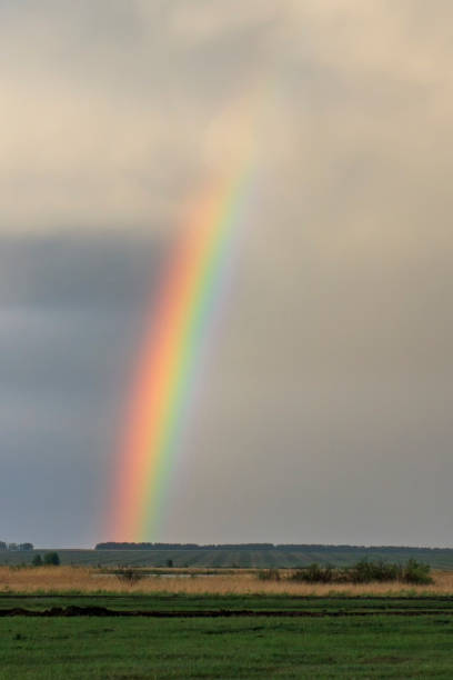 istock Bright rainbow on a background of gray clouds 1164545948