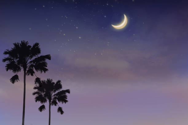 istock Half moon.  a bright half moon and stars. Background outdoor at night. 1164546467