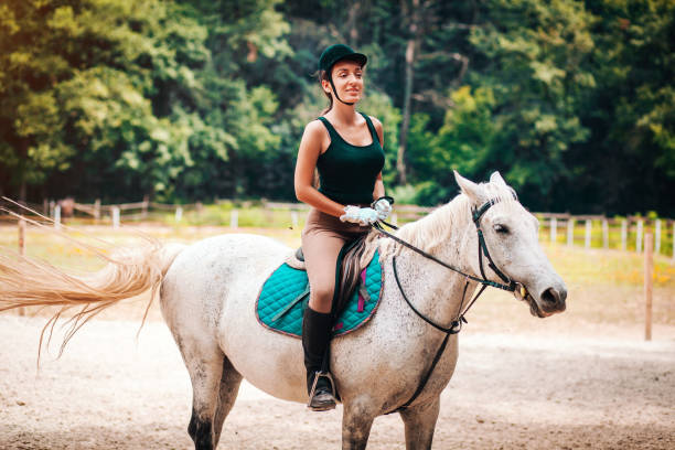 istock Horse and female rider on training 1164546615