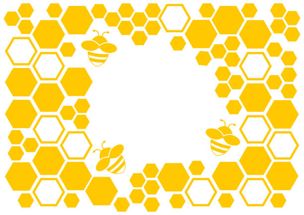 Honey background, yellow frame with honeycomb and bee. Vector illustration Honey background, yellow frame with honeycomb and bee, space for your text. Vector illustration bee patterns stock illustrations