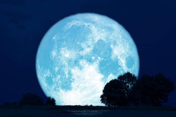 istock Full Buck Moon back silhouette trees in the field 1164549122