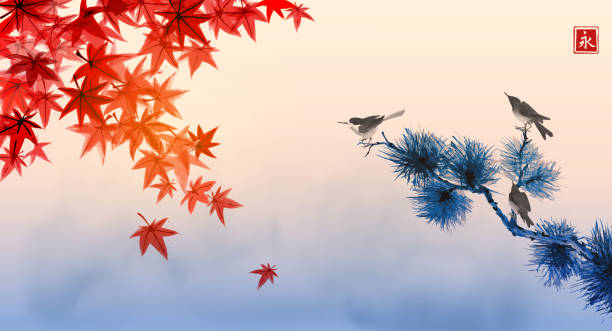 illustrations, cliparts, dessins animés et icônes de paysage avec les feuilles rouges d'érable japonaise, le ciel nuageux bleu et trois oiseaux sur le pin. peinture japonaise traditionnelle de lavage d'encre sumi-e. hiéroglyphe - éternité - japanese maple autumn leaf tree