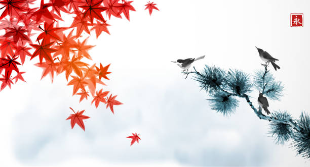 赤いカエデの葉、青い曇り空、松の木の上の3羽の鳥の風景。日本の伝統的なインク洗浄絵画すみえ。象形文字 - 永遠 - illustration and painting bird drawing color image点のイラスト素材／クリップアート素材／マンガ素材／アイコン素材