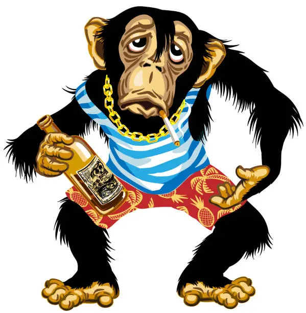 Vector illustration of cartoon drunk chimp sailor