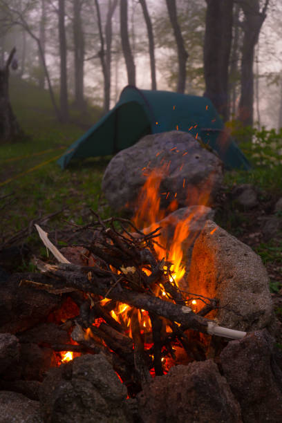 istock Mountain summer. Bonfire in forest, tent 1164551953