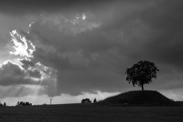 istock Storm in the fields of Friuli Venezia-Giulia 1164552257