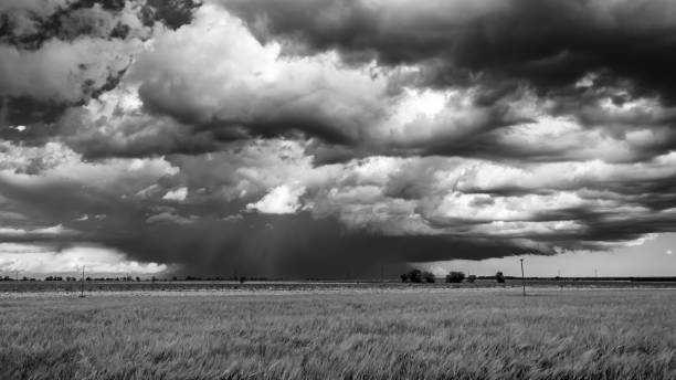 istock Big storm in the fields of Italy 1164553900