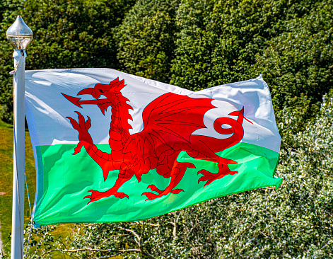 welsh flag flapping in the  wind  on a pole