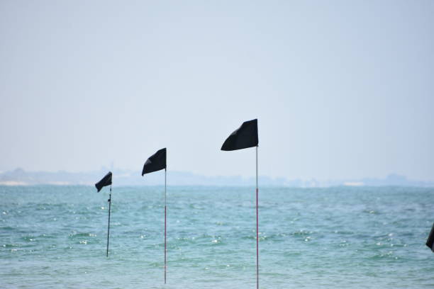 istock Black flag at sea 1164557379