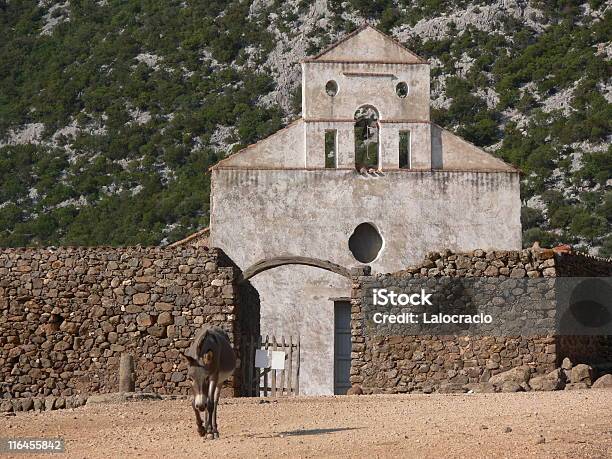 Capilla Con Asno - Fotografie stock e altre immagini di Messico - Messico, Sporco, Ambientazione esterna