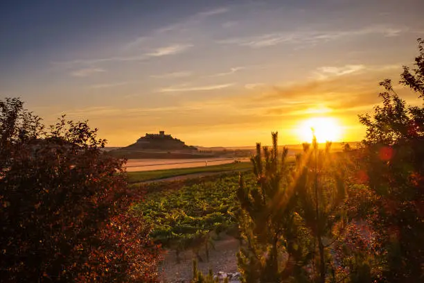 Panorama-view of vineyards and crop fields at dusk at the Ribera del Duero in Spain’s Northern plateau, with the silhouette of the castle of Peñafiel to be recognised in the background.